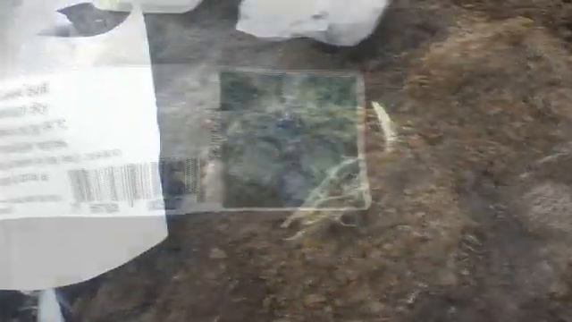 14.Посылка из Подворья. смотреть онлайн