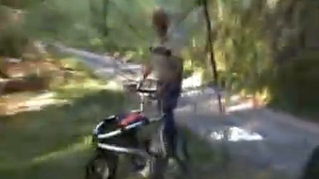 Déambulateur Veloped SPORT par trionic - démonstration en zone rurale смотреть онлайн