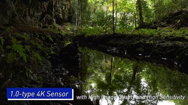 Videocámara profesional 4K HC-X1: Videocámara 4K 60p / 50p con sensor de 1 pulgada смотреть онлайн