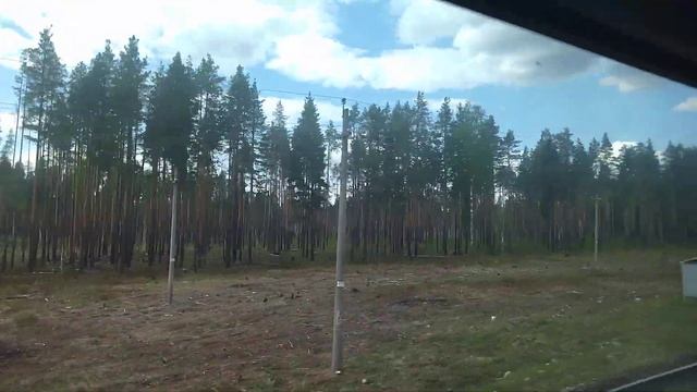 24.05.2023. Россия. Архангельская область. Сосново-берёзовые леса к северу от Обозёрской. Часть 1 смотреть онлайн