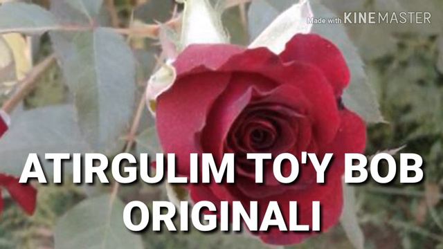Atirgulim tuy bob - Атиргулим Туй боб смотреть онлайн