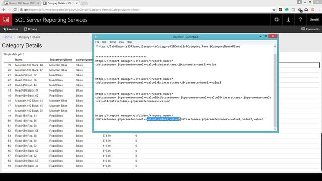 Custom URL in Mobile Reports SQL Server 2017 2016 смотреть онлайн