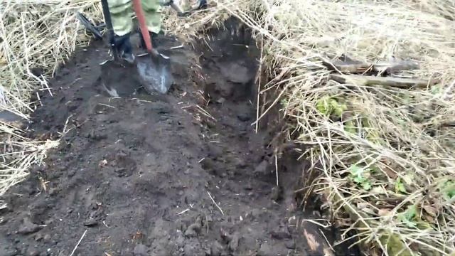 #коп#xp#Шурф до обеда, амулет лютый зверь сделал мой день, обидно что сломана xp orx смотреть онлайн