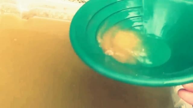 Beginners Guide To Gold Panning