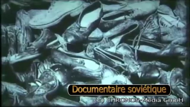 Vincent analyse le Procède Nuremberg après la seconde guerre mondiale смотреть онлайн