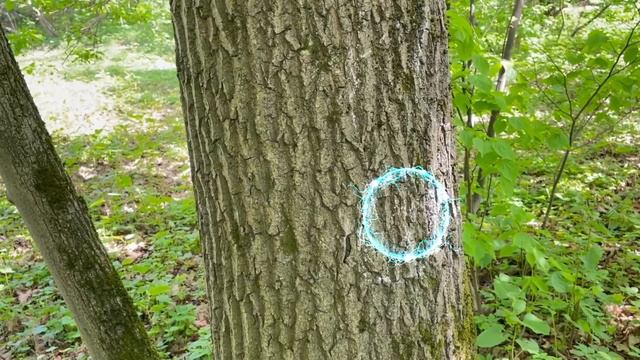 Как Энди ЗАГНАТЬ Сиреноголового обратно в портал? смотреть онлайн