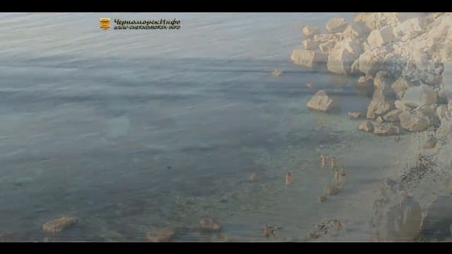 ЦВЕТОК КАМНЕЛОМКА муз Ю Пласта ст А Табукашвили HD смотреть онлайн