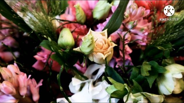 #Стихи ФедораТютчева | Милых женщин поздравляю с праздником весны 8 марта! смотреть онлайн