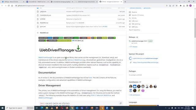 ? How To use WebDriverManager | No Need to use System.setProperty | Browser Driver exe ? смотреть онлайн