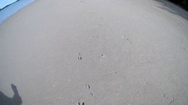 Сплав по реке Иртыш Павлодар Мичурино 31.08.18 - .09.09.18 ( часть 2) смотреть онлайн