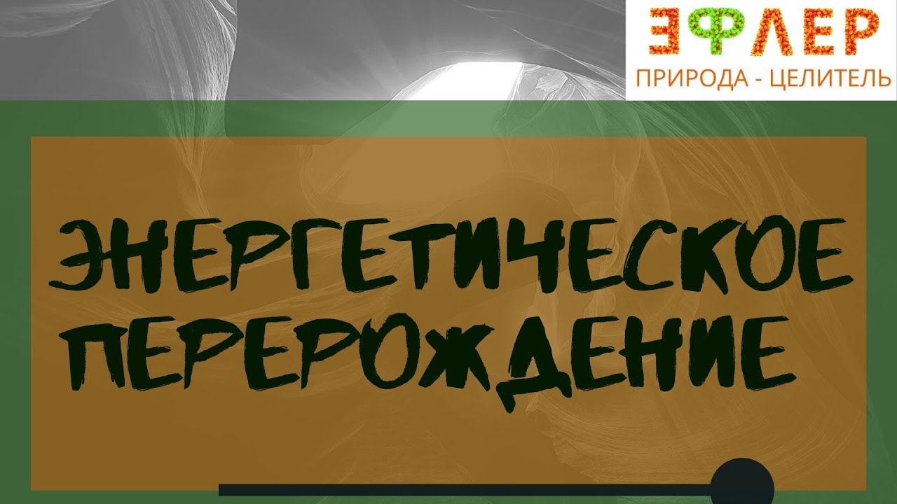 Выход из онкостатуса. Основные инструменты при борьбе с раком | Подавляющие механизмы онкологизации. смотреть онлайн