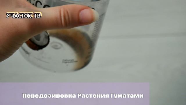 ОПАСНЫЕ ГУМАТЫ - Передозировка Растения Гуматами - ГУМАТЫ - НЕ УДОБРЕНИЕ
