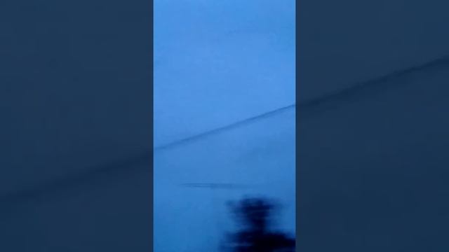 Улетают птицы далекие страны на юг смотреть онлайн