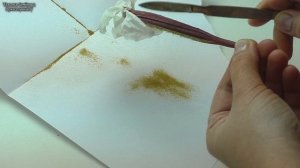 Как выбить семена из орхидеи. Сбор и хранение семян. Сроки созревания.