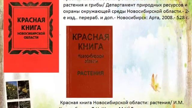 Коченевский район на карте Новосибирской области смотреть онлайн