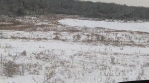 Грязевая резина Forvard safari 540 зимой 205x75x15 лучшая бюджетная резина на ниву Авторемонт