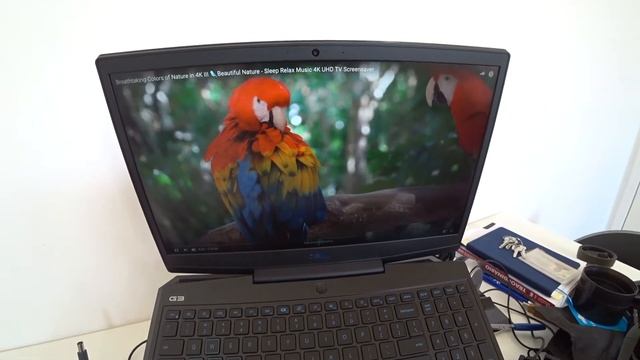 Notebook Gamer Dell G3-3590-U10P | Core i5-9300H | 8GB RAM | GTX 1050 |15.6" FULL HD IPS | LINUX смотреть онлайн