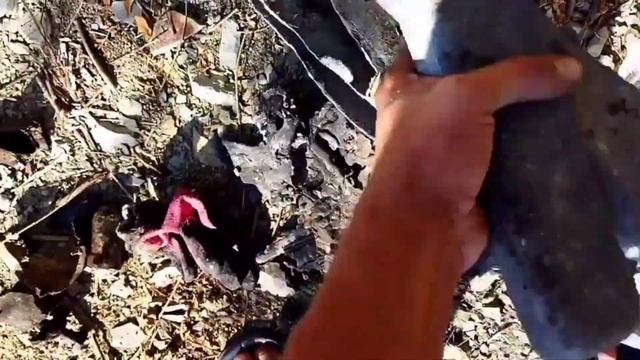 Сдал 15кг Свинца и Алюминиевые банки. Сколько можно заработать на Алюминиевых банках. смотреть онлайн