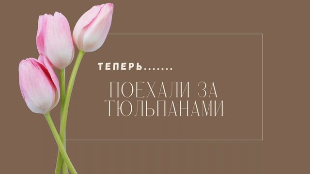 Весеннее настроение, покупка тюльпанов🌞💐🌷 смотреть онлайн
