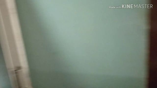 Освоение новых площадей. Разведение червя дендробена.