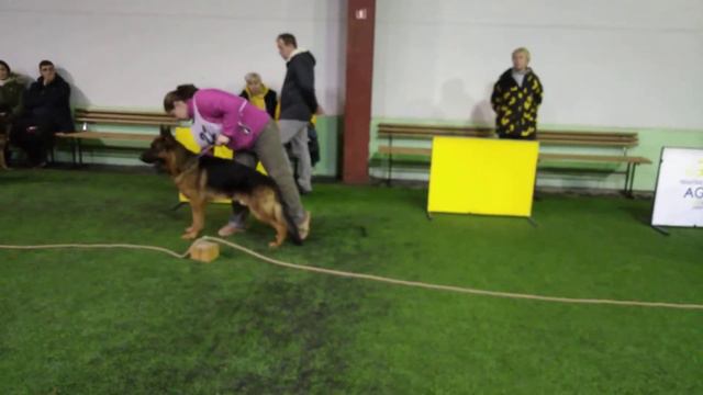 КЧК Санкт-Петербург 28.11.2021г смотреть онлайн