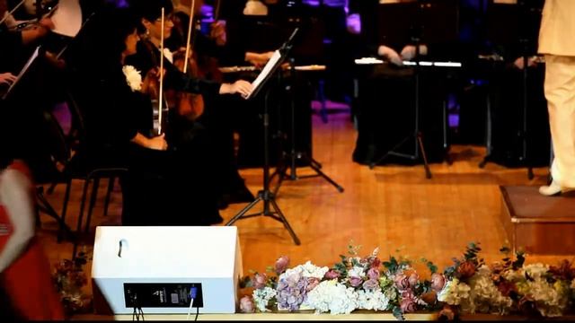 Наталья Волкова, солист Дома музыки и Липецкий симфонический оркестр. Г. Манчини. Лунная река смотреть онлайн