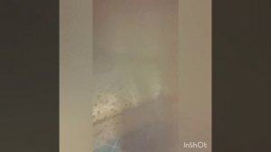 Парк Отлель Звенигород. Честный обзор и отзыв.