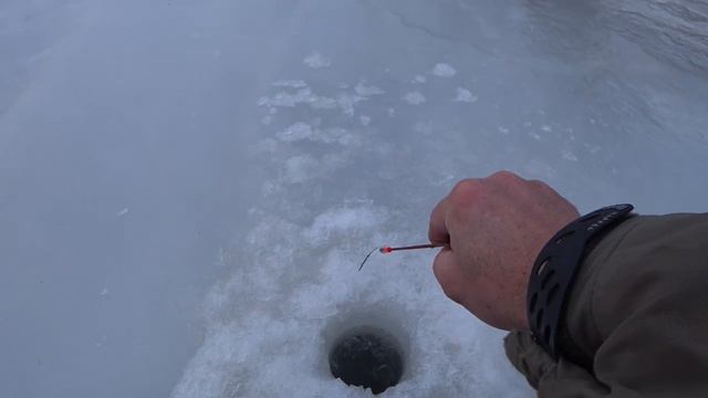 Монстры рвут мормышки, утаскивают удочки. Глухозимье по-астрахански смотреть онлайн