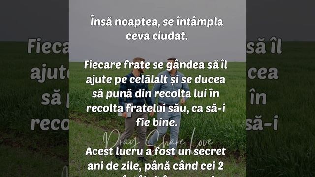 Poveste - Dragostea pentru frați смотреть онлайн