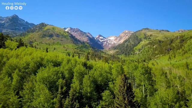 Musica Para Relajar El Sistema Nervioso 🌿 Olvida Todo Tu Estrés Y Preocupaciones Con Estos Sonidos смотреть онлайн