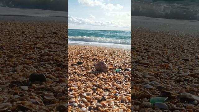 АНАПА - закончился октябрь. У берега Черного моря без изменений😍 смотреть онлайн