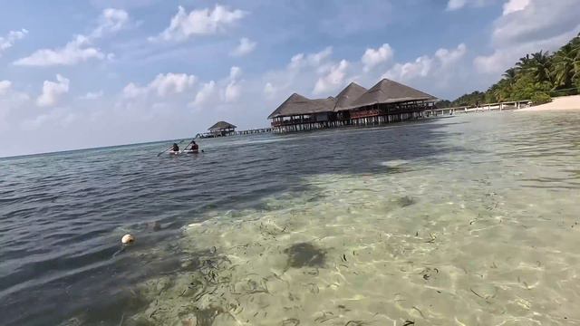 HoneyMoon Pe Maut Ka Khel Bhi Khel Liye 🤣 | First Day At Maldives ❤️ | Sufiyan and Nida ❤️ смотреть онлайн