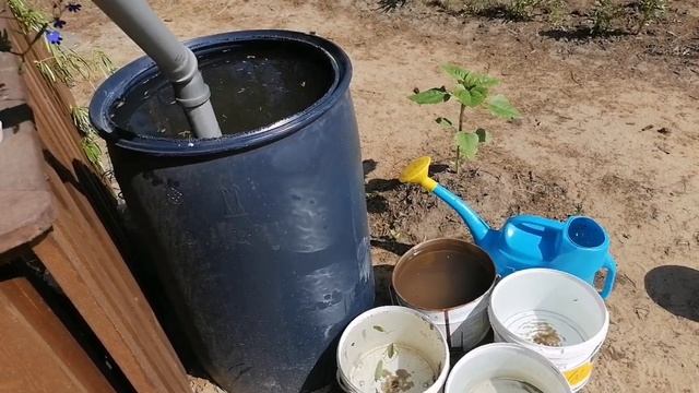 В лес по грибы, потом на участок коптить рыбу и строить дом. смотреть онлайн