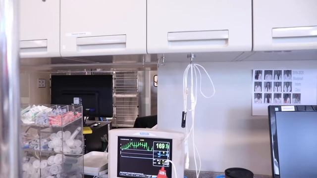 Internal Medicine at BluePearl смотреть онлайн