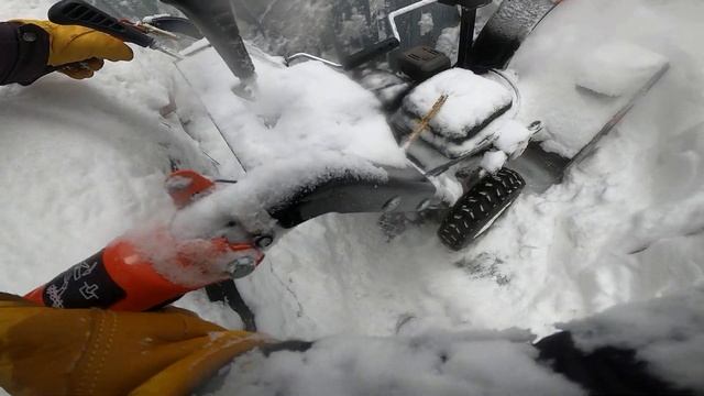 Yanis Blizzard M24DL