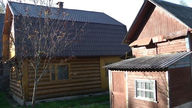 Мы продаём, а вы можете купить дачу в медвежьем углу недалеко от Киржача. 1300000 рублей. смотреть онлайн