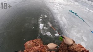 Зимняя рыбалка в Астрахани