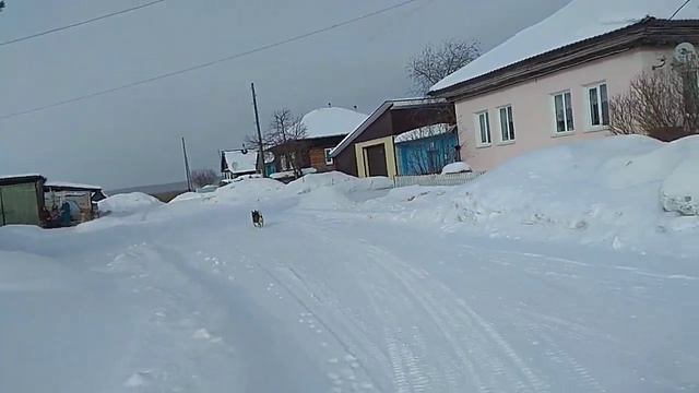 Буран 4 тд по деревне / Buran 4 TD on the village смотреть онлайн
