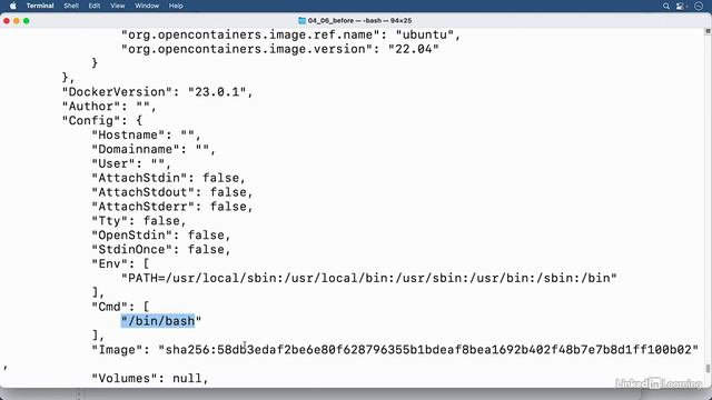 4.6_Updating the image - Docker Essential Training смотреть онлайн