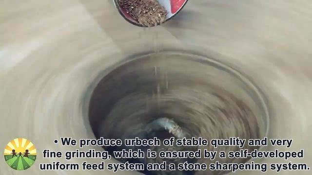 Магия Вкуса