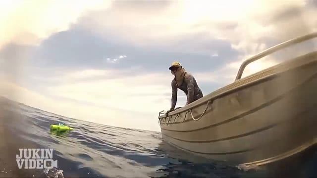 Tiger Shark Stalks Scuba Divers | Adventures in Spearfishing смотреть онлайн