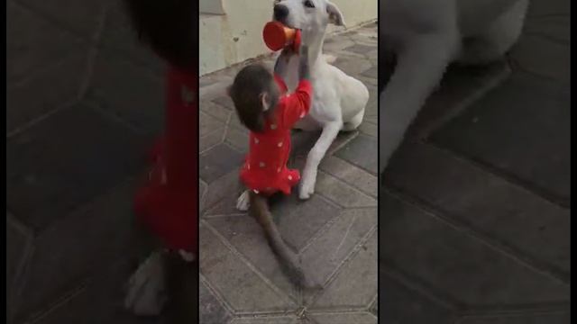 Никуша со своими друзьями,  прошёл дождик, на улице хорошая погода ,не жарко.