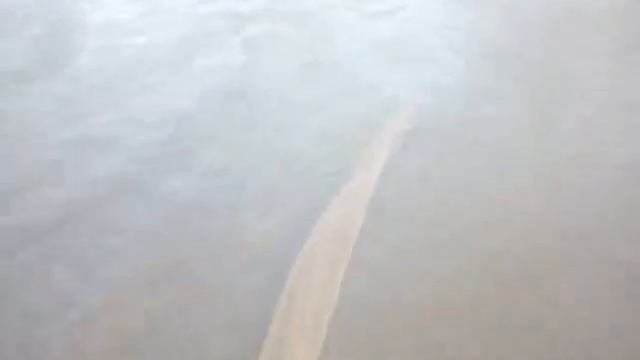 Рыбалка неводом в августе. Результат не очень. смотреть онлайн