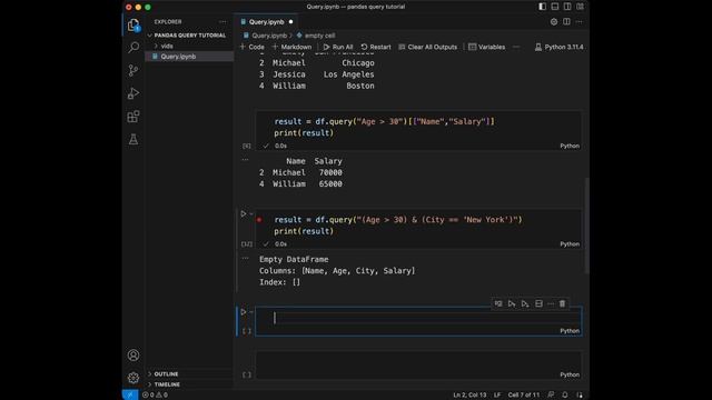 Easy Data Exploration: Using Pandas .query() for Data Filtering смотреть онлайн