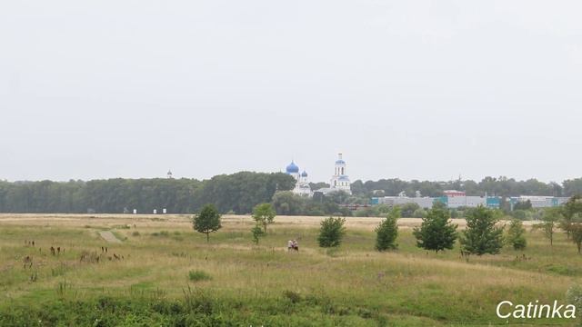 Ласточка ЭС1 в Боголюбове смотреть онлайн