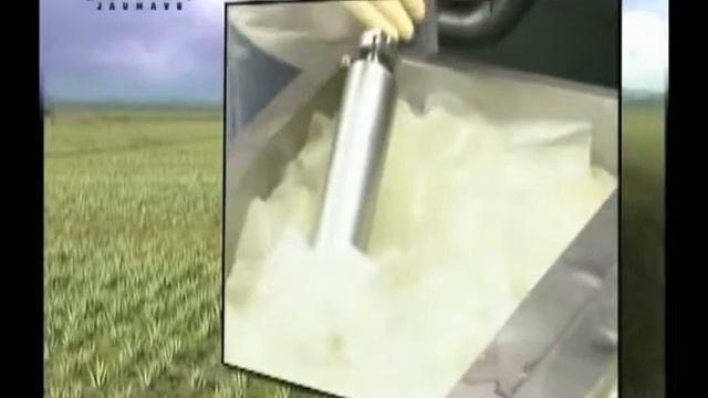 Партнёр компании ESSENS, поставщик Aloe Vera Barbadensis Miler - Aloe Jaumave (Мексика) смотреть онлайн