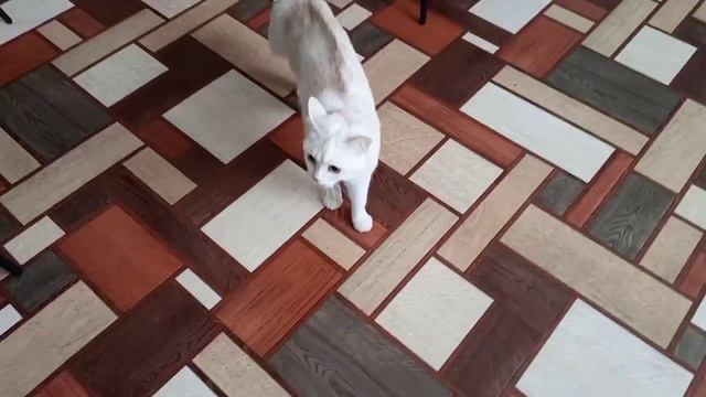 2023 год... 11 февраля... смотреть онлайн