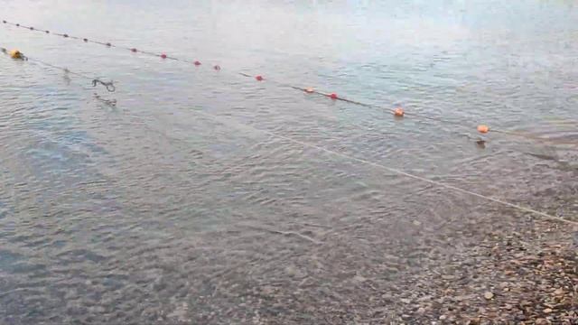 #НОВОМИХАЙЛОВСКИЙ 2022 ПОГОДА 19.07.22, РАННЕЕ УТРО. смотреть онлайн