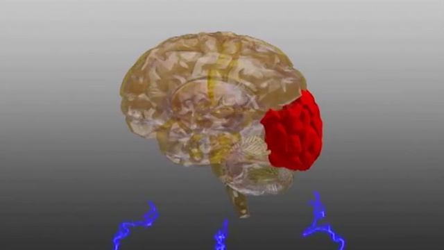 Пример презентации защиты диплома Система распознавания Искусственный интеллект, супер презентация смотреть онлайн