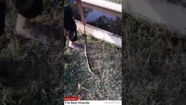 Моркапи точикистон смотреть онлайн
